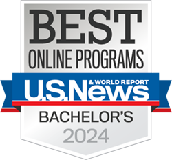 Best Bachelors online programs